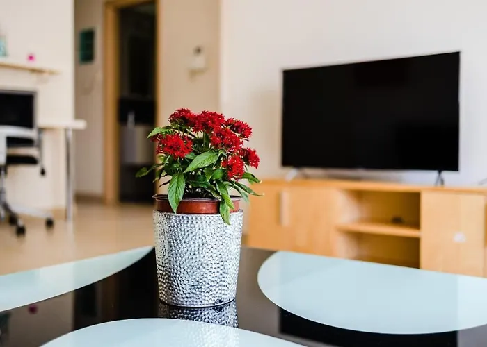 Kalamata's Spacious Getaway-taygetos Amazing View Holiday home Kalamata